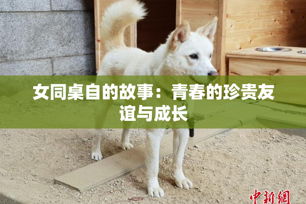 女同桌自的故事：青春的珍贵友谊与成长