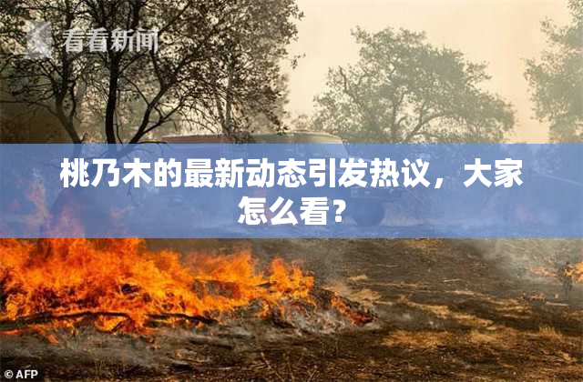 桃乃木的最新动态引发热议，大家怎么看？