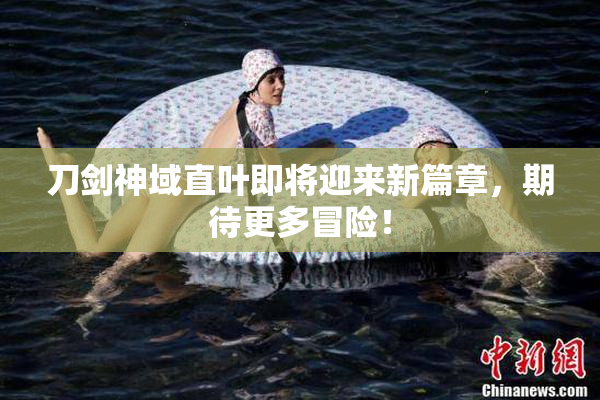刀剑神域直叶即将迎来新篇章，期待更多冒险！