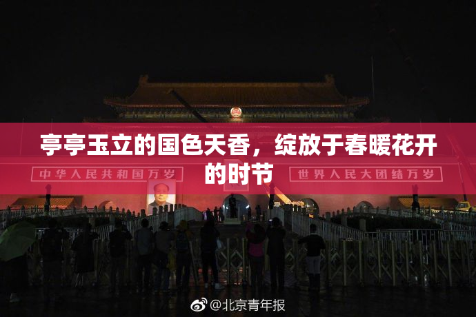 亭亭玉立的国色天香，绽放于春暖花开的时节