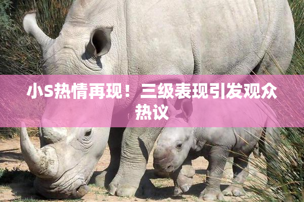 小S热情再现！三级表现引发观众热议