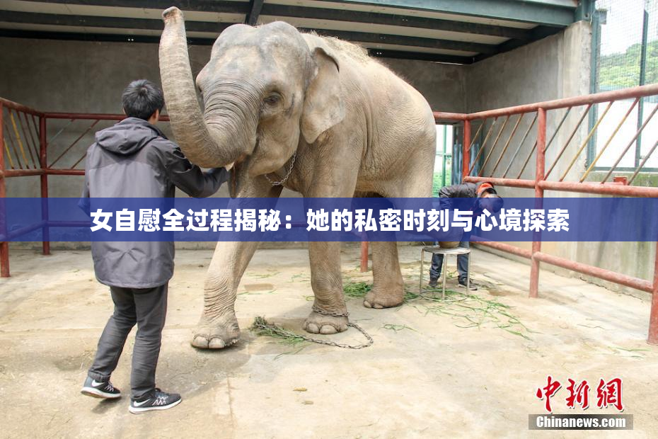 女自慰全过程揭秘：她的私密时刻与心境探索