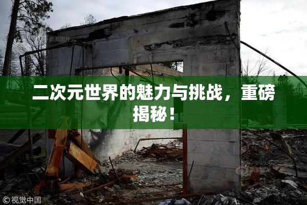 二次元世界的魅力与挑战，重磅揭秘！