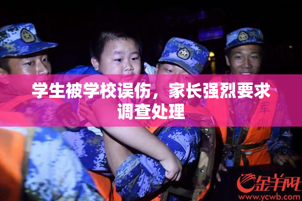 学生被学校误伤，家长强烈要求调查处理