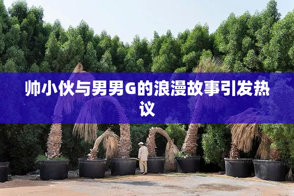 帅小伙与男男G的浪漫故事引发热议