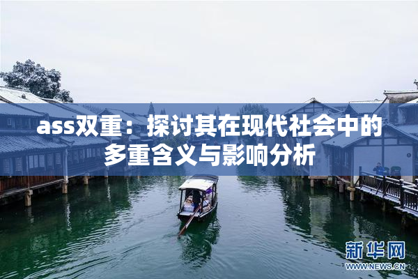 ass双重：探讨其在现代社会中的多重含义与影响分析