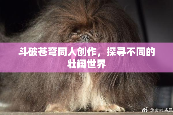 斗破苍穹同人创作，探寻不同的壮阔世界