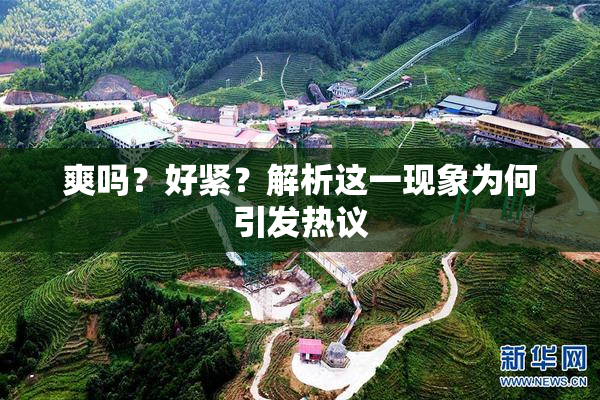 爽吗？好紧？解析这一现象为何引发热议