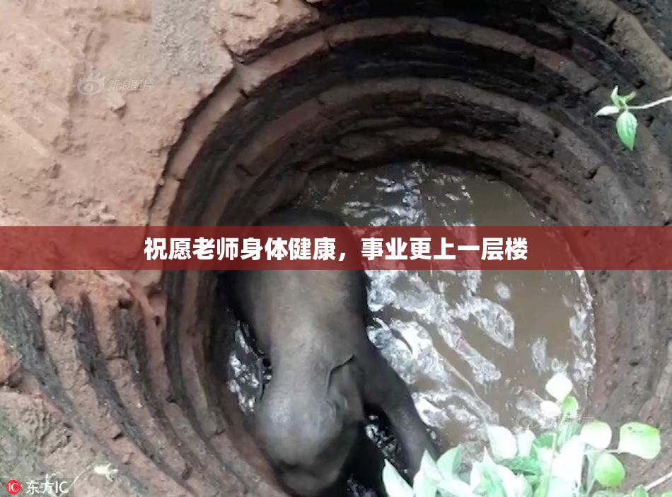 祝愿老师身体健康，事业更上一层楼