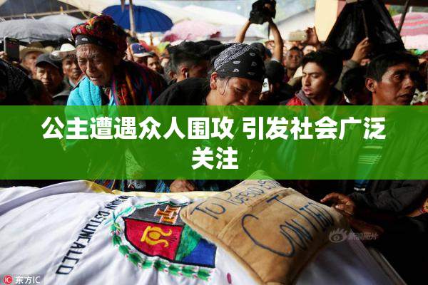 公主遭遇众人围攻 引发社会广泛关注