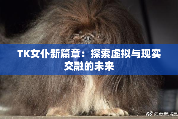 TK女仆新篇章：探索虚拟与现实交融的未来