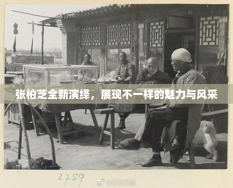 张柏芝全新演绎，展现不一样的魅力与风采