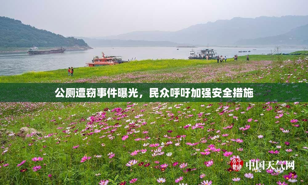公厕遭窃事件曝光，民众呼吁加强安全措施