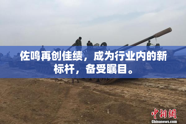 佐鸣再创佳绩，成为行业内的新标杆，备受瞩目。