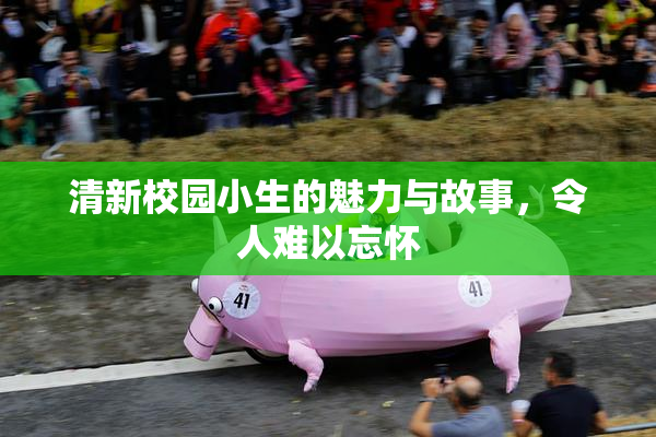 清新校园小生的魅力与故事，令人难以忘怀