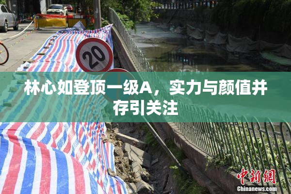 林心如登顶一级A，实力与颜值并存引关注