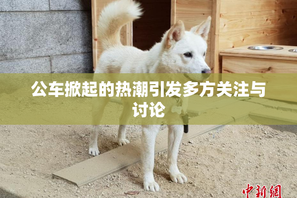 公车掀起的热潮引发多方关注与讨论