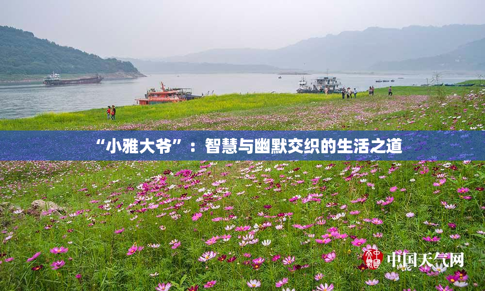 “小雅大爷”：智慧与幽默交织的生活之道