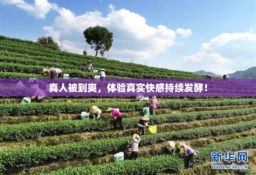 真人被到爽，体验真实快感持续发酵！
