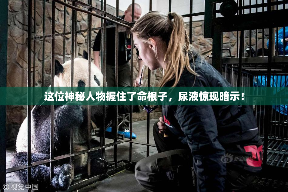 这位神秘人物握住了命根子，尿液惊现暗示！