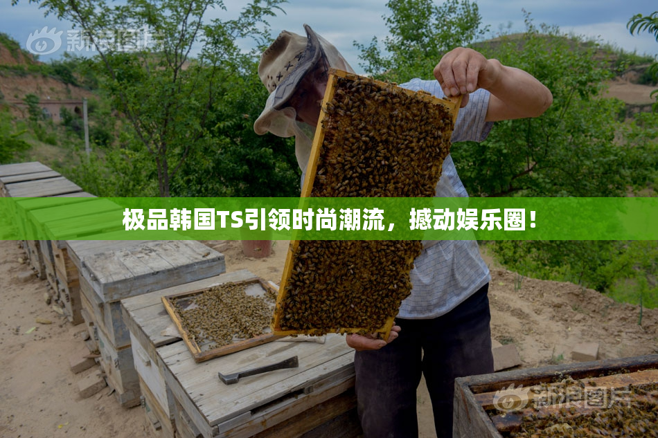 极品韩国TS引领时尚潮流，撼动娱乐圈！