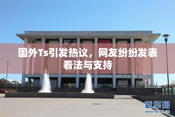 国外Ts引发热议，网友纷纷发表看法与支持