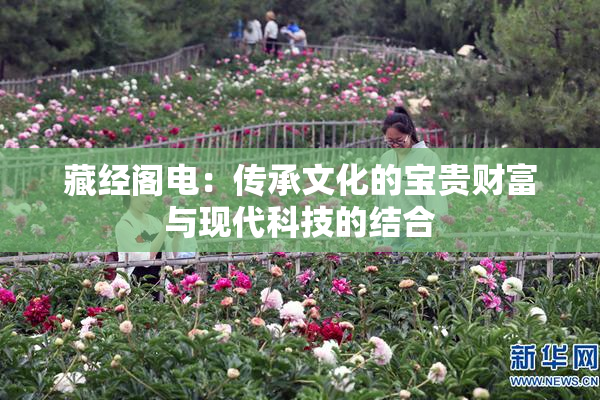 藏经阁电：传承文化的宝贵财富与现代科技的结合