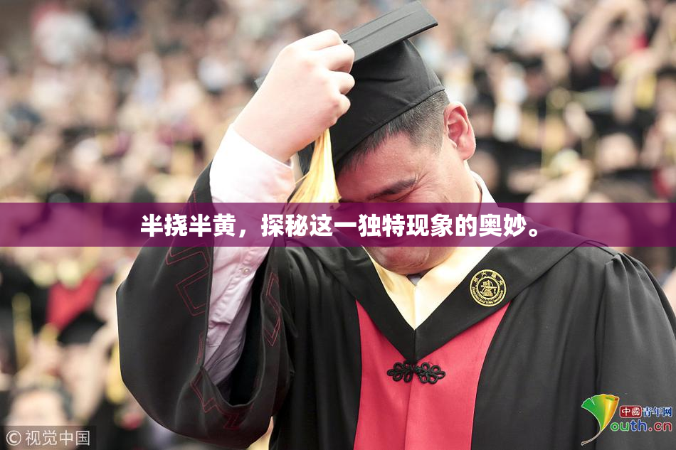 半挠半黄，探秘这一独特现象的奥妙。