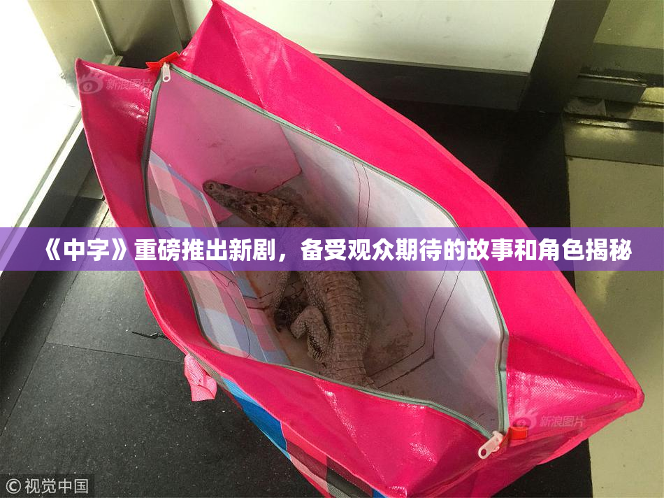 《中字》重磅推出新剧，备受观众期待的故事和角色揭秘