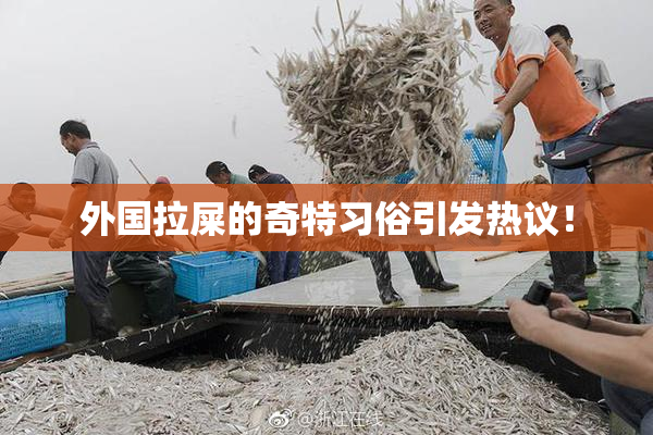 外国拉屎的奇特习俗引发热议！