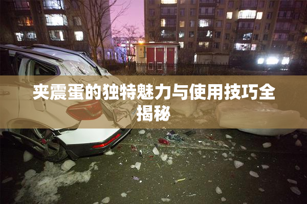 夹震蛋的独特魅力与使用技巧全揭秘