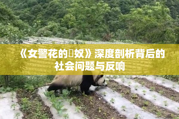 《女警花的婬奴》深度剖析背后的社会问题与反响
