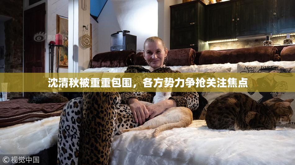 沈清秋被重重包围，各方势力争抢关注焦点