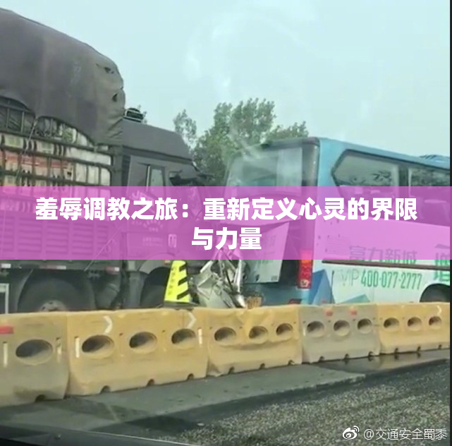 羞辱调教之旅：重新定义心灵的界限与力量