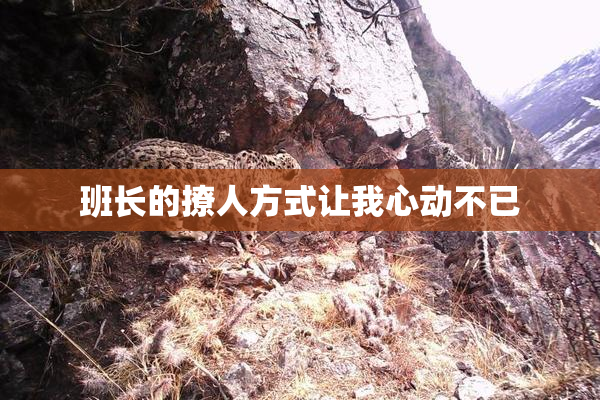 班长的撩人方式让我心动不已