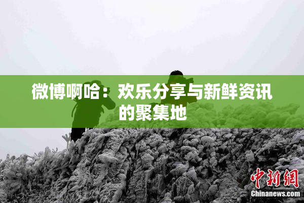 微博啊哈：欢乐分享与新鲜资讯的聚集地