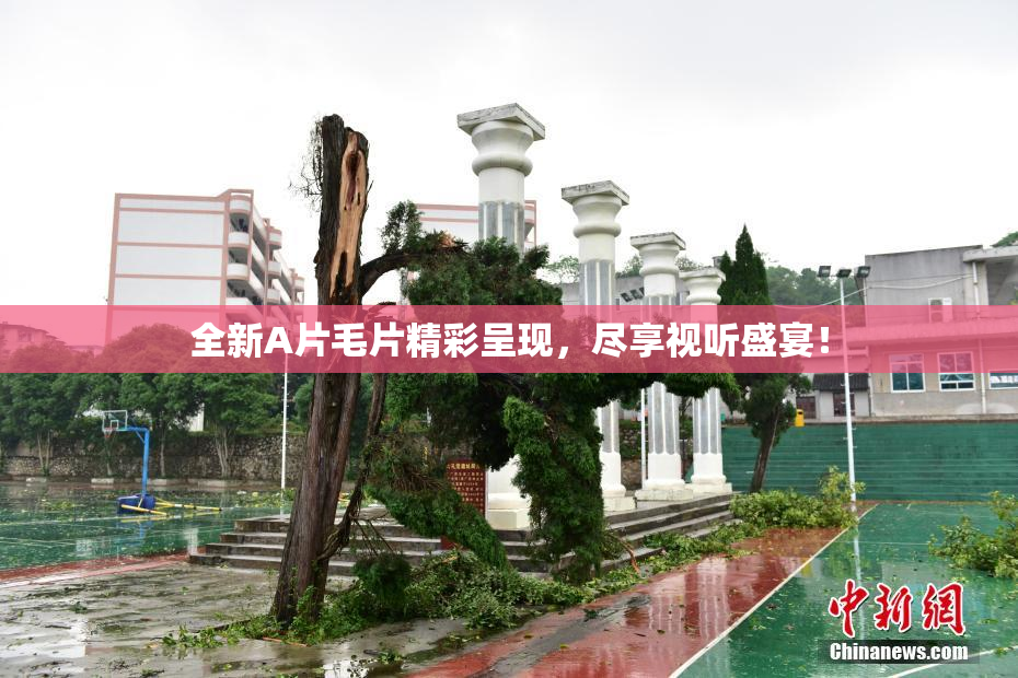全新A片毛片精彩呈现，尽享视听盛宴！