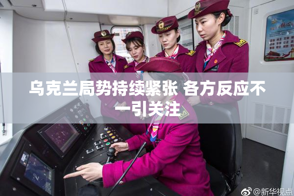 乌克兰局势持续紧张 各方反应不一引关注