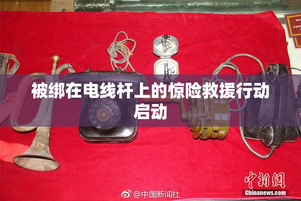 被绑在电线杆上的惊险救援行动启动