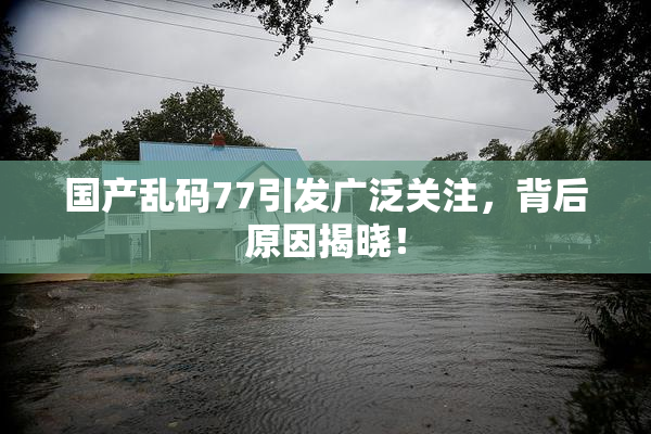 国产乱码77引发广泛关注，背后原因揭晓！