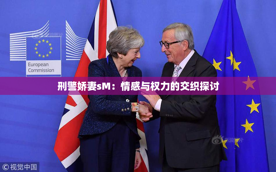 刑警娇妻sM：情感与权力的交织探讨