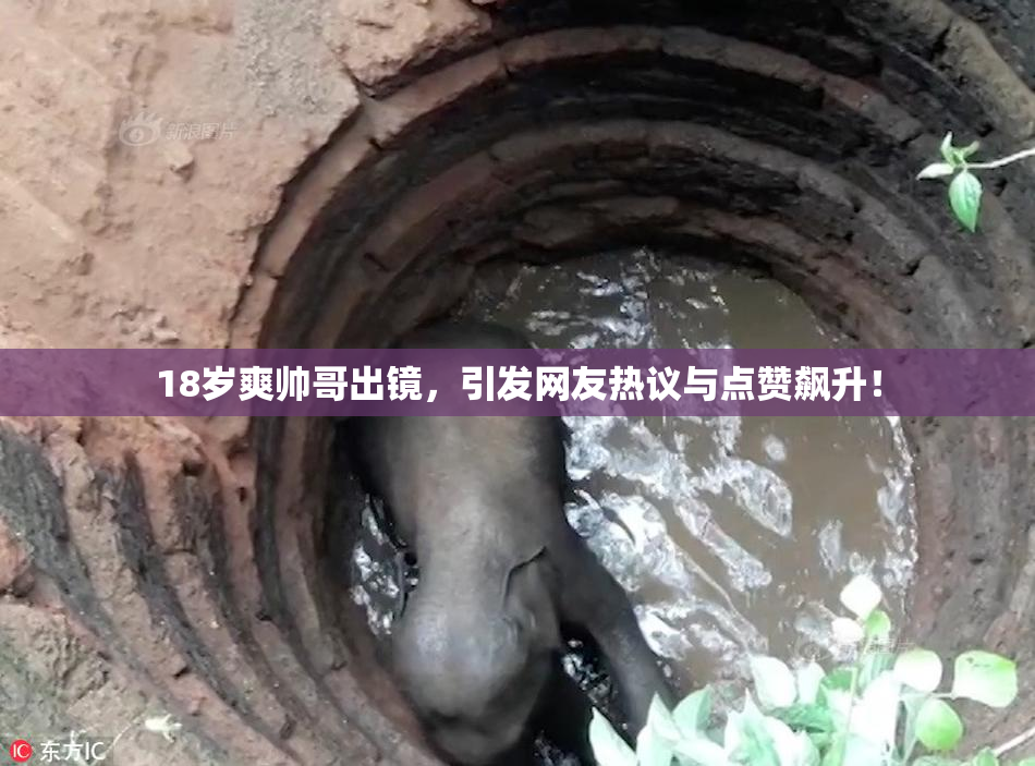 18岁爽帅哥出镜，引发网友热议与点赞飙升！