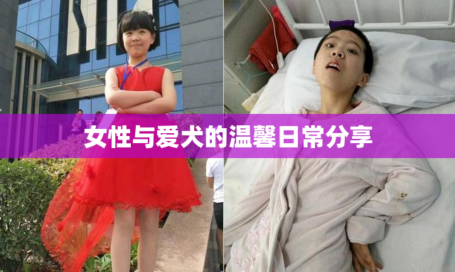 女性与爱犬的温馨日常分享