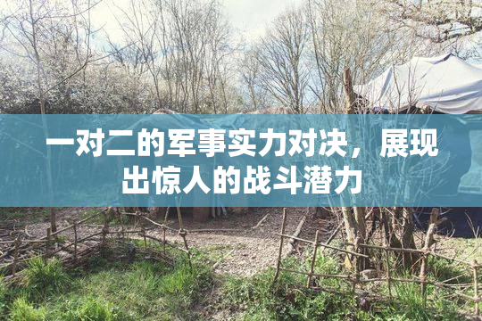 一对二的军事实力对决，展现出惊人的战斗潜力