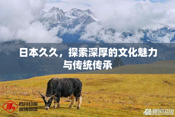 日本久久，探索深厚的文化魅力与传统传承