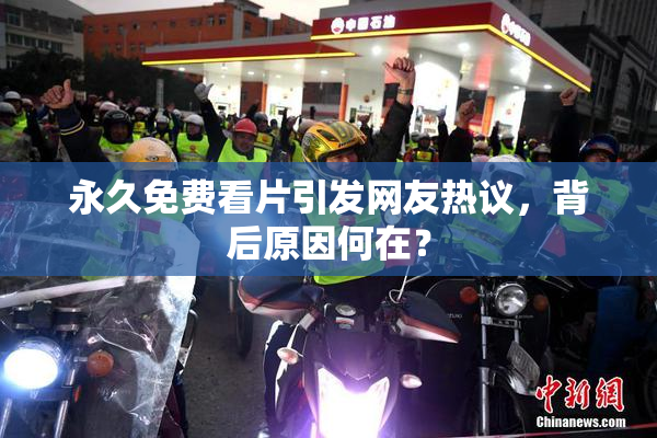 永久免费看片引发网友热议，背后原因何在？