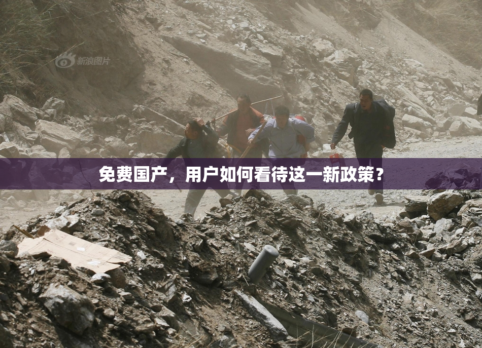 免费国产，用户如何看待这一新政策？