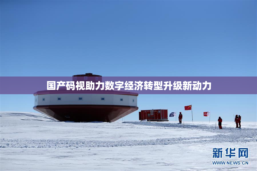 国产码视助力数字经济转型升级新动力