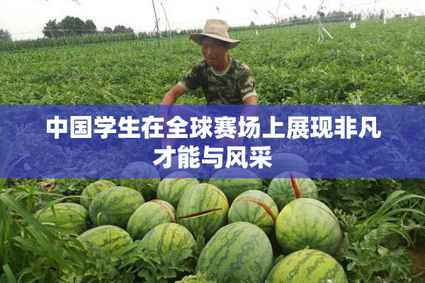 中国学生在全球赛场上展现非凡才能与风采