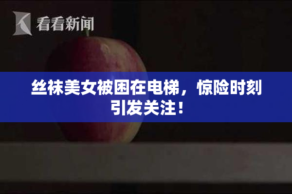 丝袜美女被困在电梯，惊险时刻引发关注！